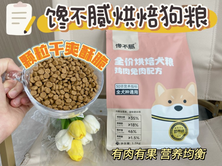 中华田园犬为什么越来越受欢迎这7点实在太优秀了！